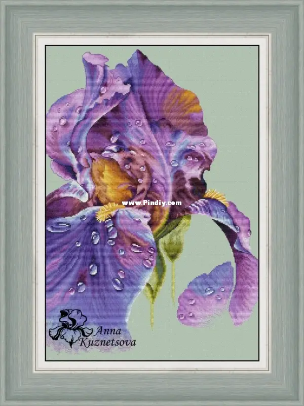 Purple Dawn Iris by Anna Kuznetsova-Cross stitch Communication / Download  (only reply)-Cross stitch Patterns Scanned-PinDIY.com